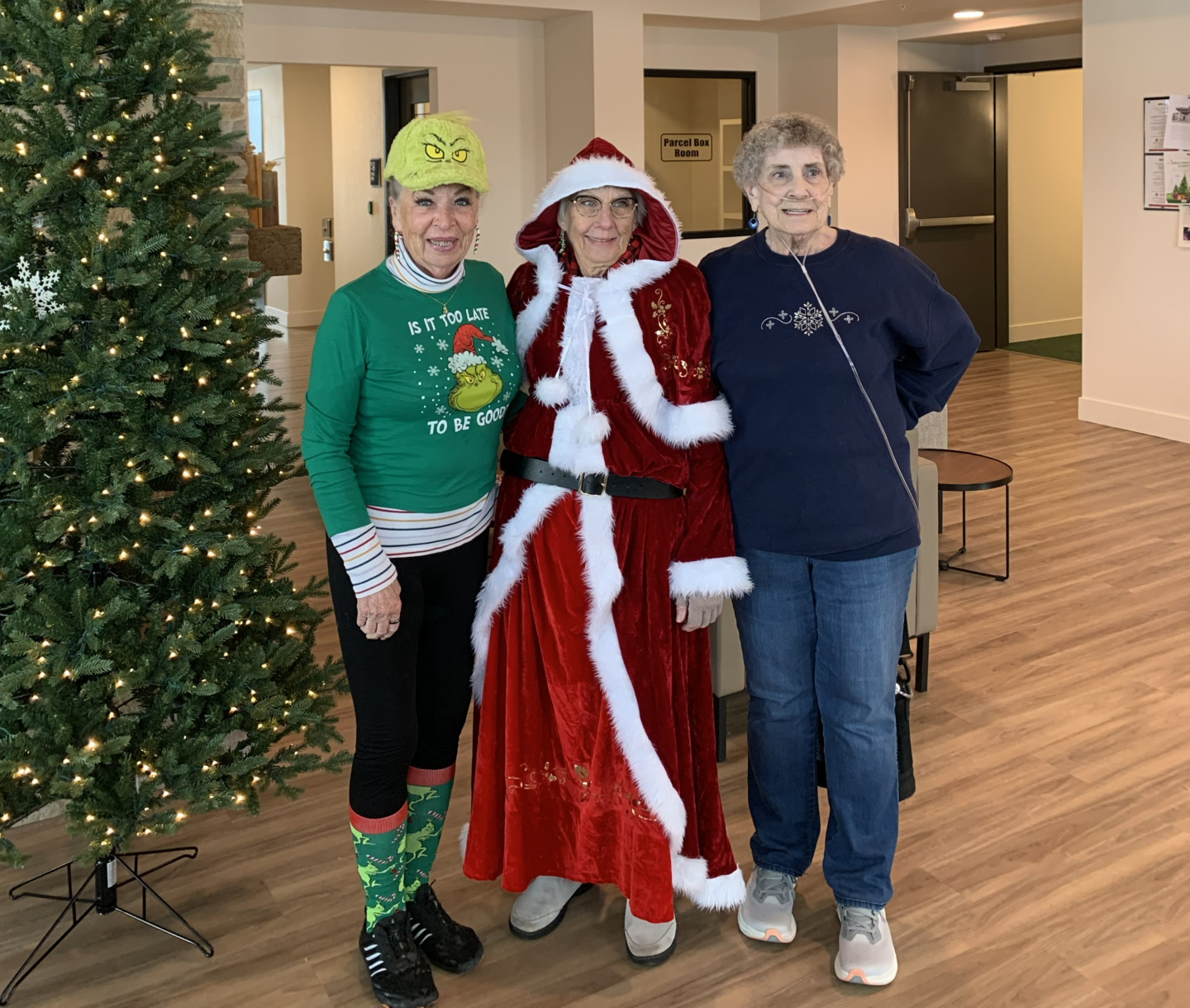 Three women stand indoors next to a decorated Christmas tree. One is dressed as the Grinch, one as Mrs. Claus, and the third wears casual clothes. They are smiling and posing for the photo in a festive setting.